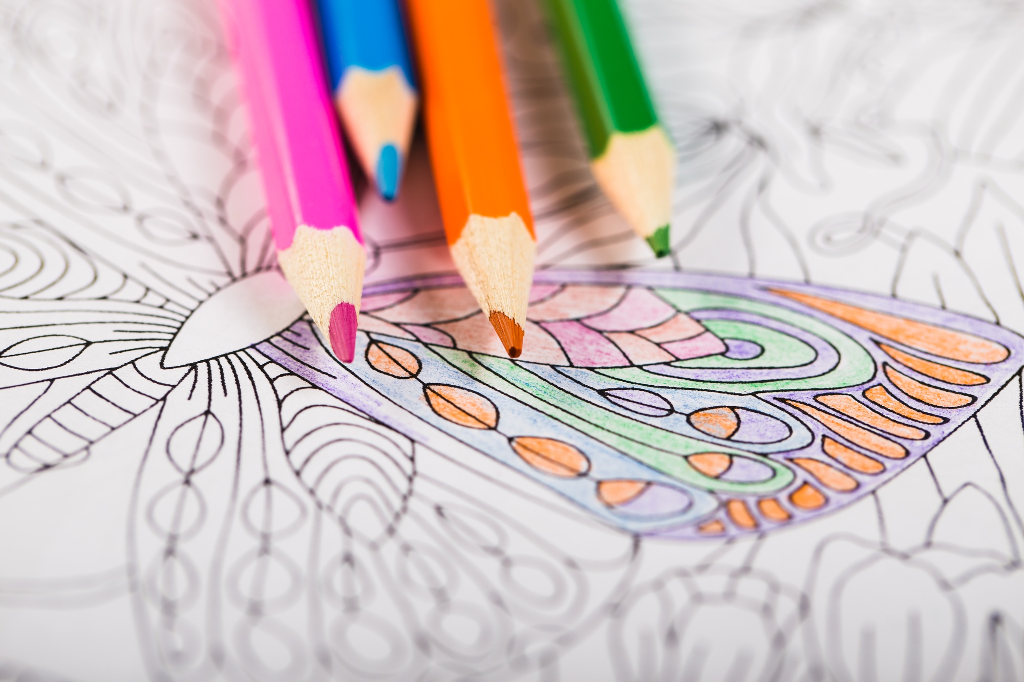 Multi-colored pencils and coloring book for adults